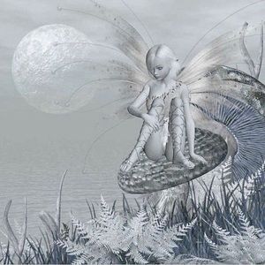 Meet your Posher, Noah